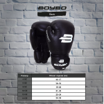 Перчатки боксёрские BoyBo Basic BBG100